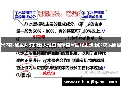 米内罗加盟海港的五大理由揭示其背后深思熟虑的决策原因