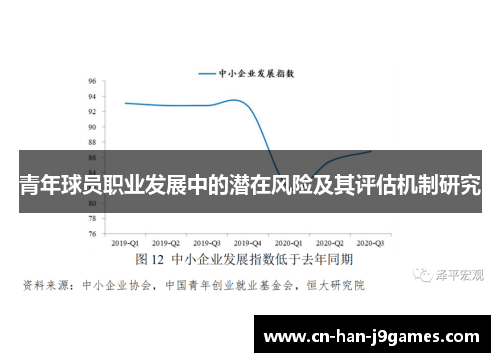 青年球员职业发展中的潜在风险及其评估机制研究